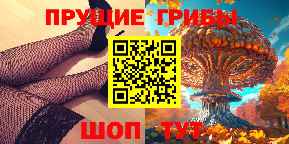 Псилоцибиновые грибы Cubensis Бугульма