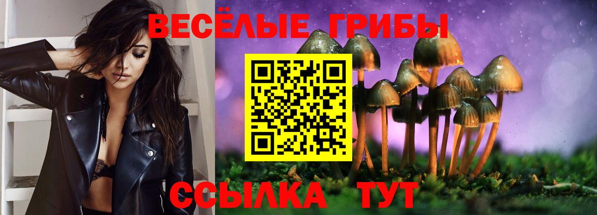 Бугульма  Псилоцибиновые грибы Psilocybe  закладки  Вход с VPN 